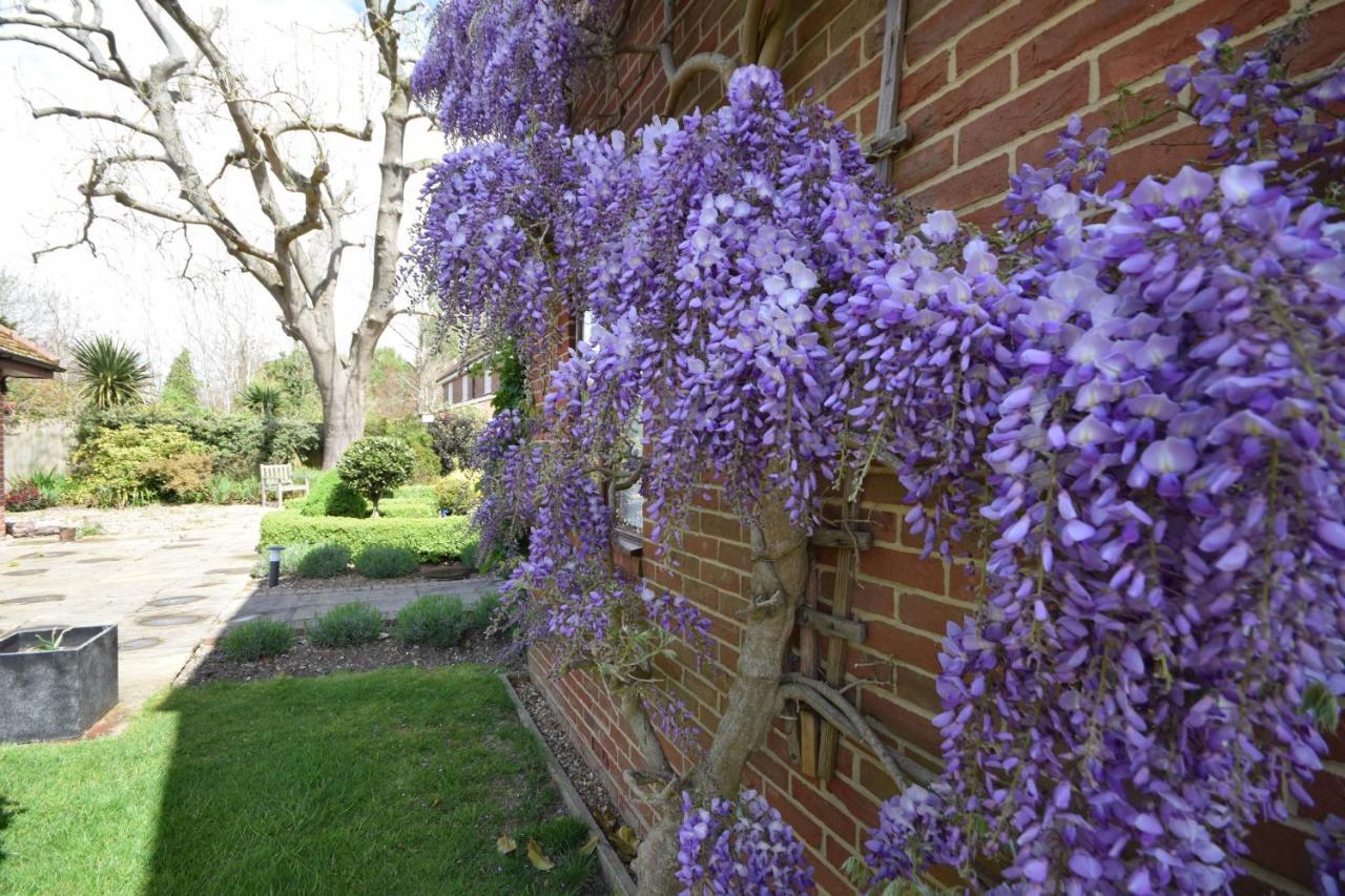 Wisteria Way, Tangmere מראה חיצוני תמונה